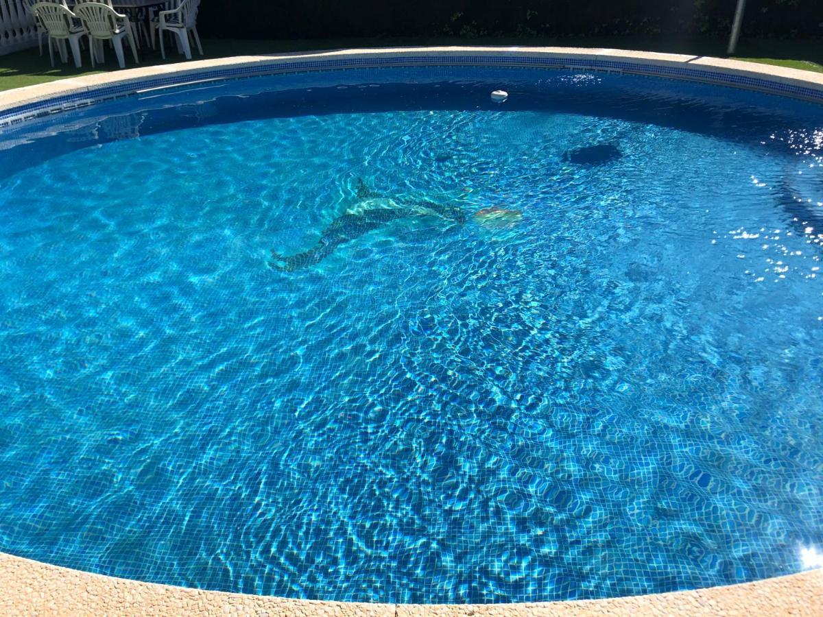 El Rincon De Dory